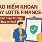 Bảo Hiểm Khoản Vay Lotte Finance