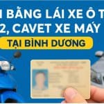 cầm bằng lái xe B2 bình dương