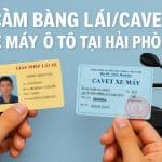 Cầm Bằng lái xe Hải Phòng